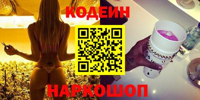 мдпв Кингисепп