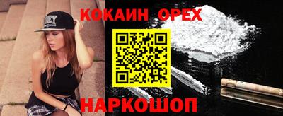 мдпв Кингисепп