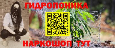 ПСИЛОЦИБИНОВЫЕ ГРИБЫ Кимры