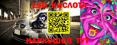 мдпв Кингисепп