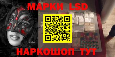 мдпв Кингисепп
