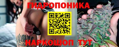 ПСИЛОЦИБИНОВЫЕ ГРИБЫ Кимры
