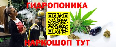 мдпв Кингисепп