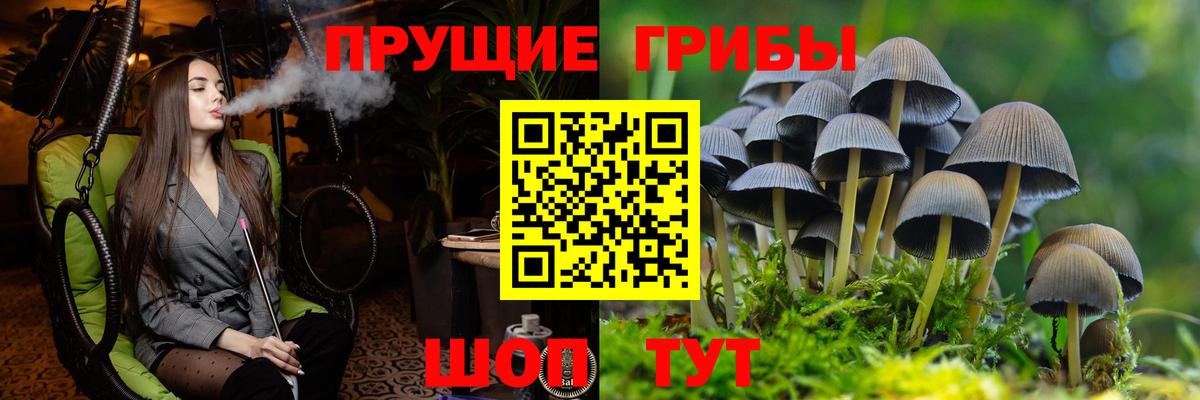 Псилоцибиновые грибы MAGIC MUSHROOMS  Вход с VPN  Кировск 