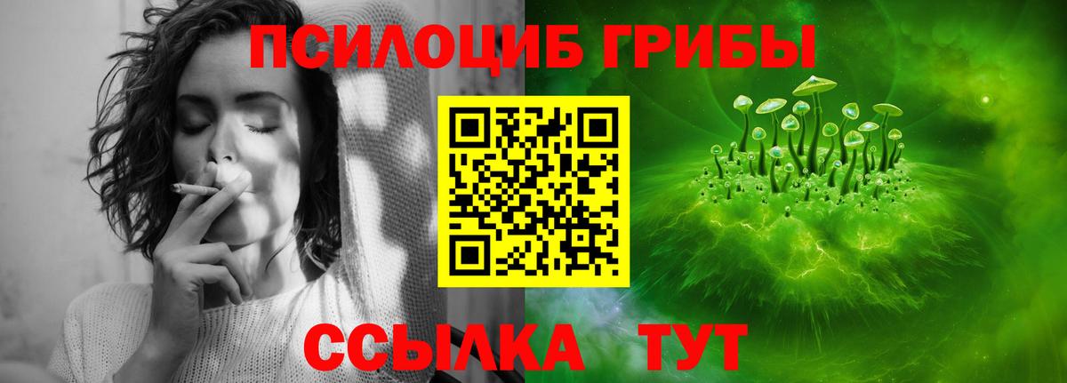 Псилоцибиновые грибы GOLDEN TEACHER Кировск